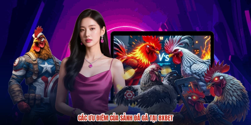 Các ưu điểm của sảnh đá gà tại 8XBET