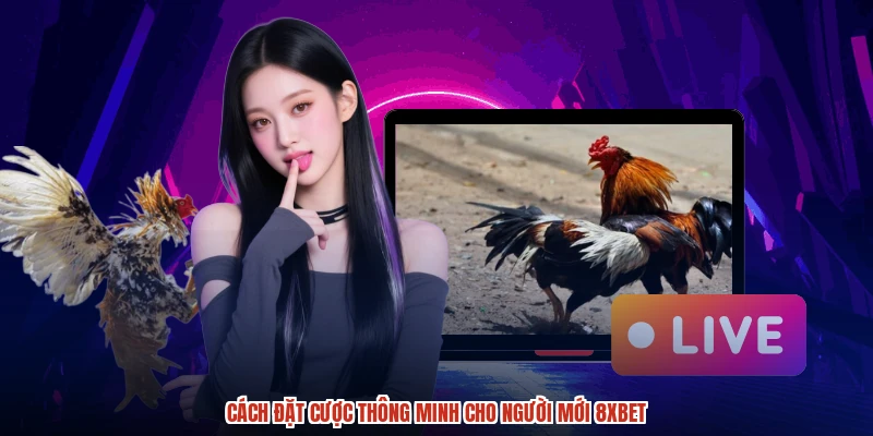 Cách đặt cược thông minh cho người mới 8XBET
