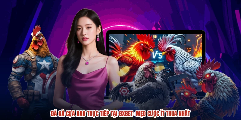 Đá Gà Cựa Dao Trực Tiếp Tại 8XBET: Mẹo Cược Ít Thua Nhất