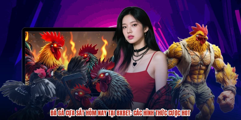 Đá Gà Cựa Sắt Hôm Nay Tại 8XBET: Các Hình Thức Cược Hot