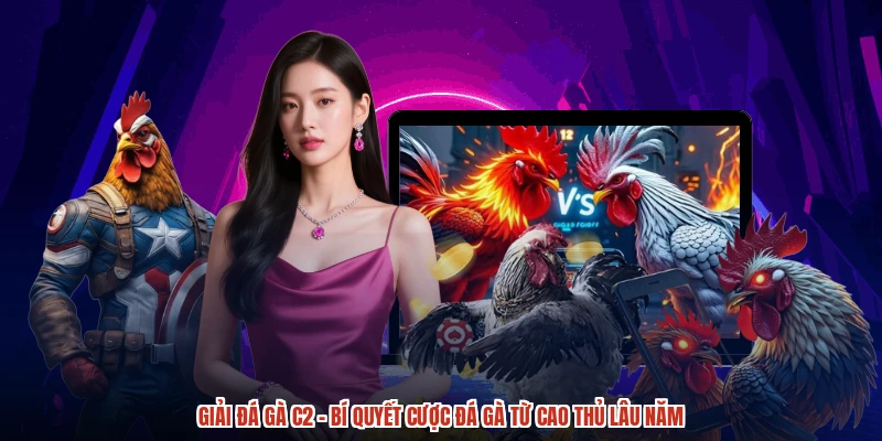 Giải Đá Gà C2 - Bí Quyết Cược Đá Gà Từ Cao Thủ Lâu Năm