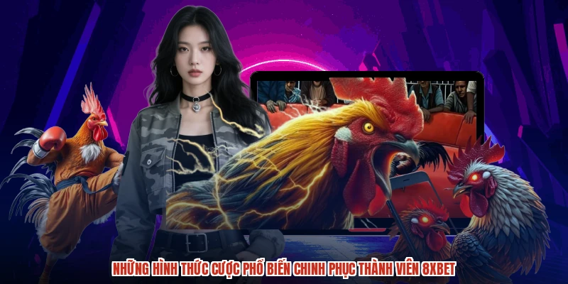 Những hình thức cược phổ biến chinh phục thành viên 8XBET