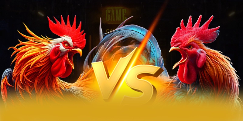 Kha nang truy cap da nen tang cung 8XBET
